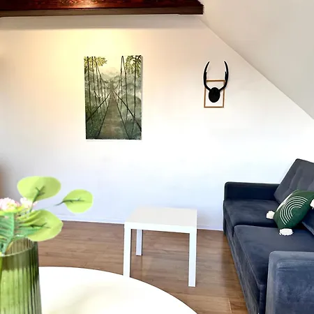 Apartment Zuberek V *